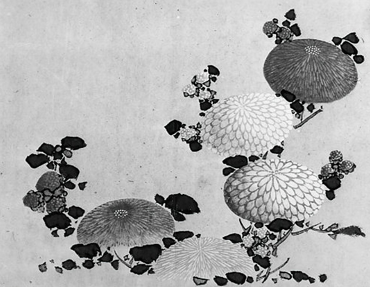 Chrysanthèmes, 19ème siècle - Hokusai School.