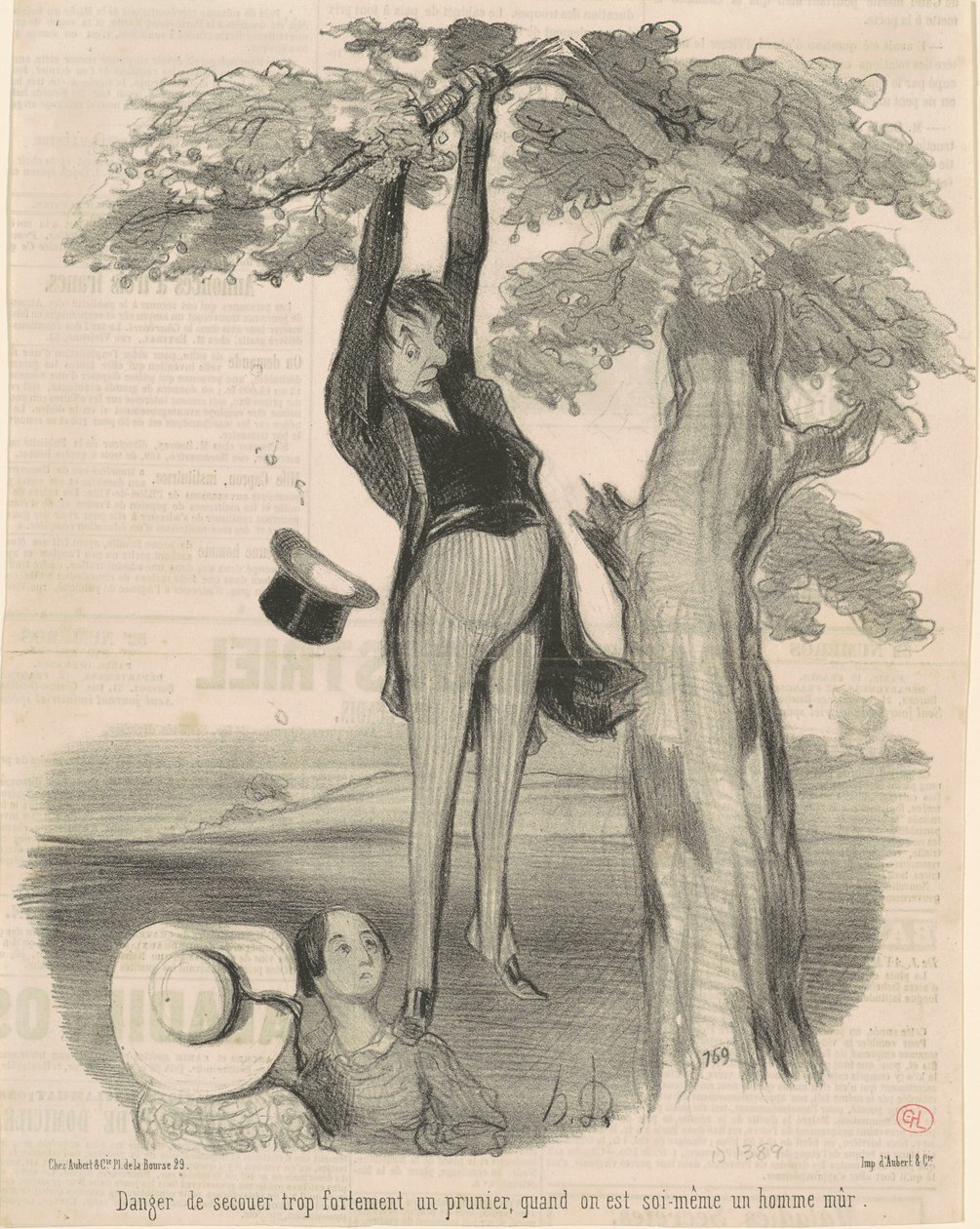 Danger de secouer trop fortement ... Un prunier - Honoré Daumier