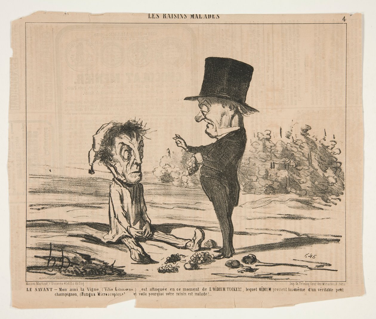 Le Savant - Mon ami, la Vigne, (Vitis Linnoeus.), est attaquée en ce moment - Honoré Daumier