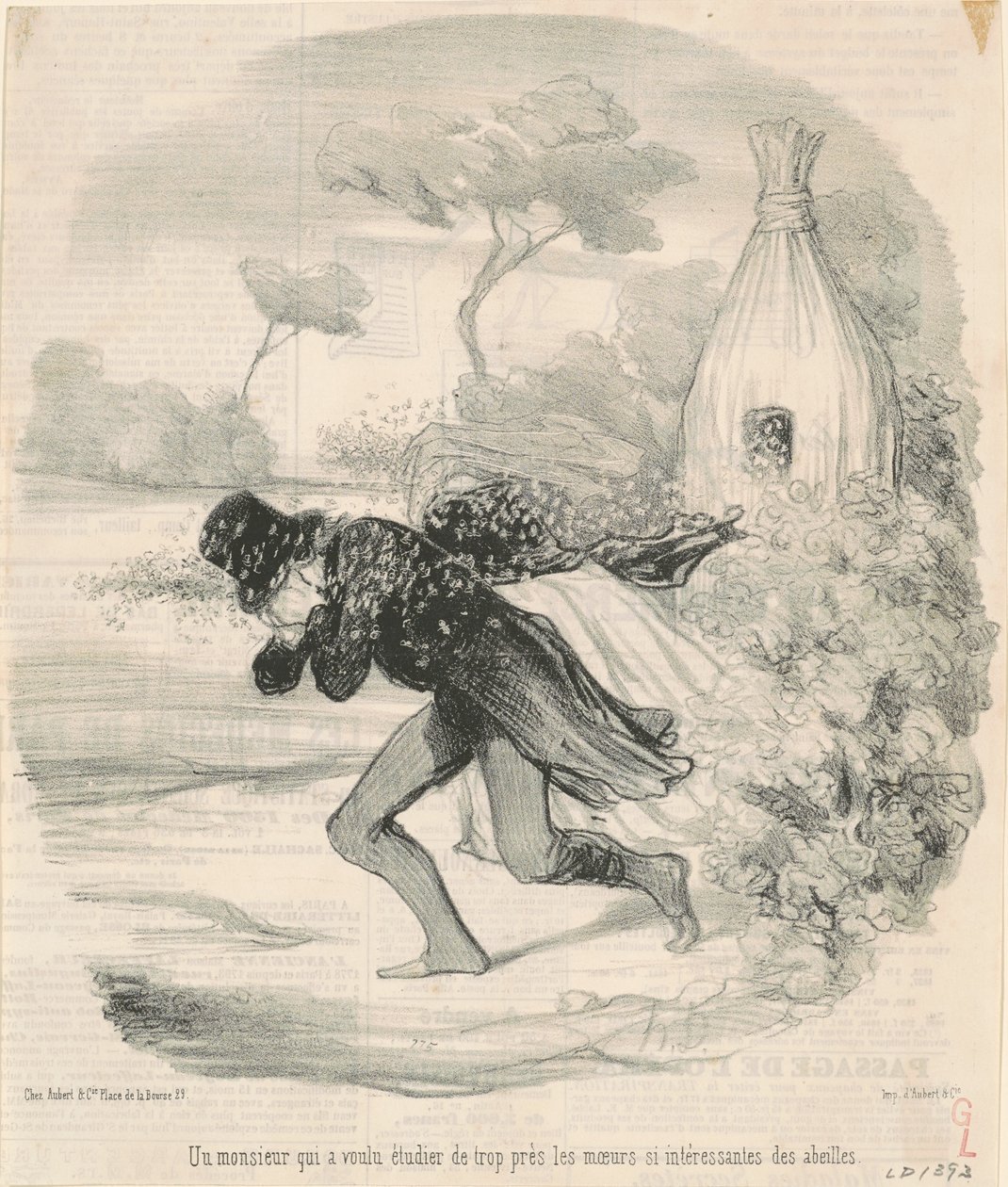 Un monsieur qui voulait étudier les mœurs des abeilles - Honoré Daumier