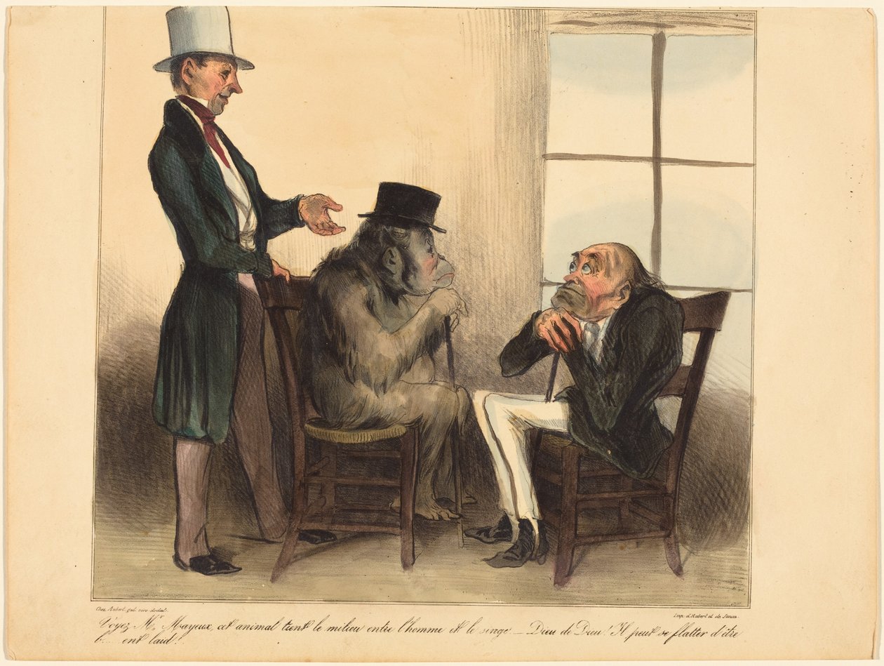 Voyez, M. Mayeux, cet animal... - Honoré Daumier