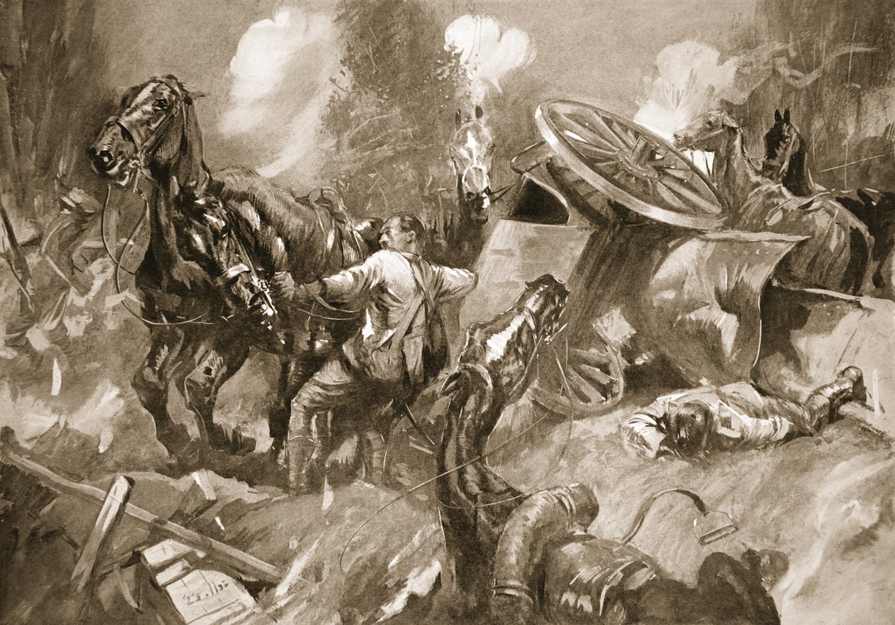 Le conducteur Tanser extrayant des chevaux sous un feu nourri - Howard K. Elcock
