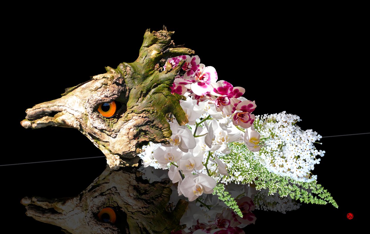 Créature fabuleuse - Hugo Nefe