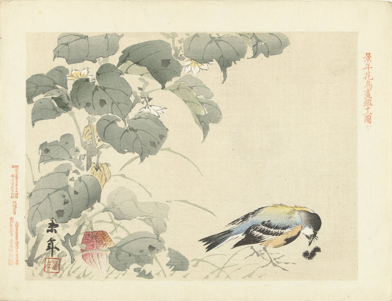 Oiseau près d
