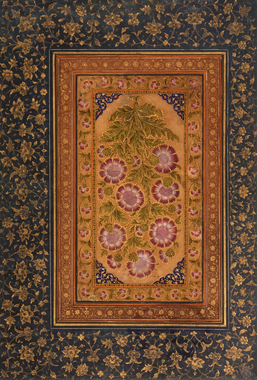 Page d'album avec Stokesia et portrait d'Abdul Rahim Khan-e Khanna