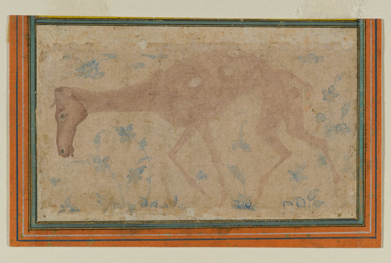 Un cheval émacié, de Mughal ou Deccan, milieu XVIIe siècle - Indian School