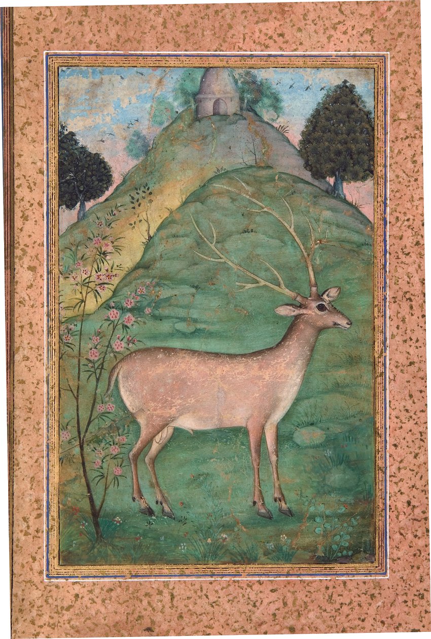 Cerf dans un paysage, c.1595 - Indian School