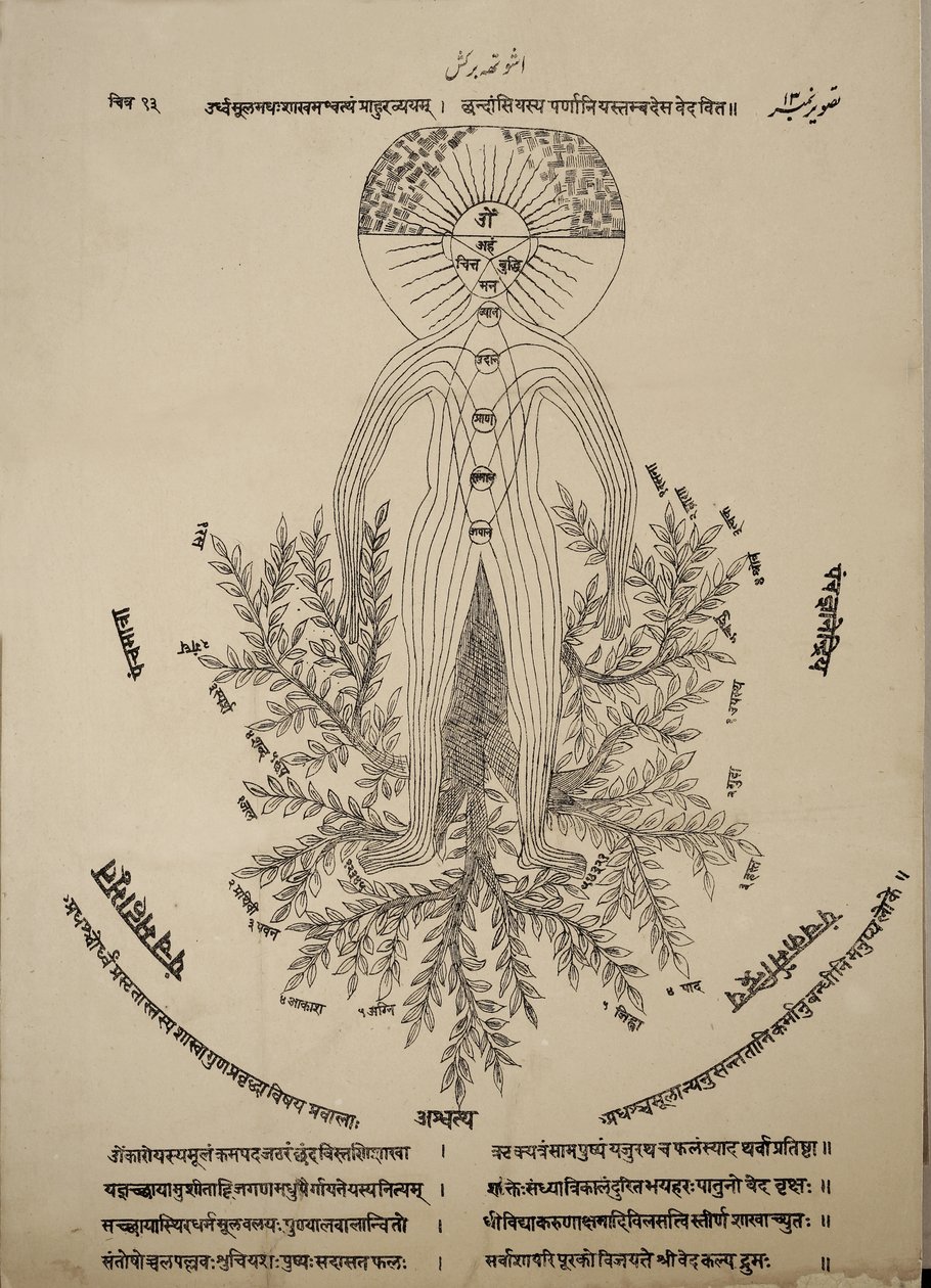 Diagramme montrant les points méridiens sur le corps humain - Indian School