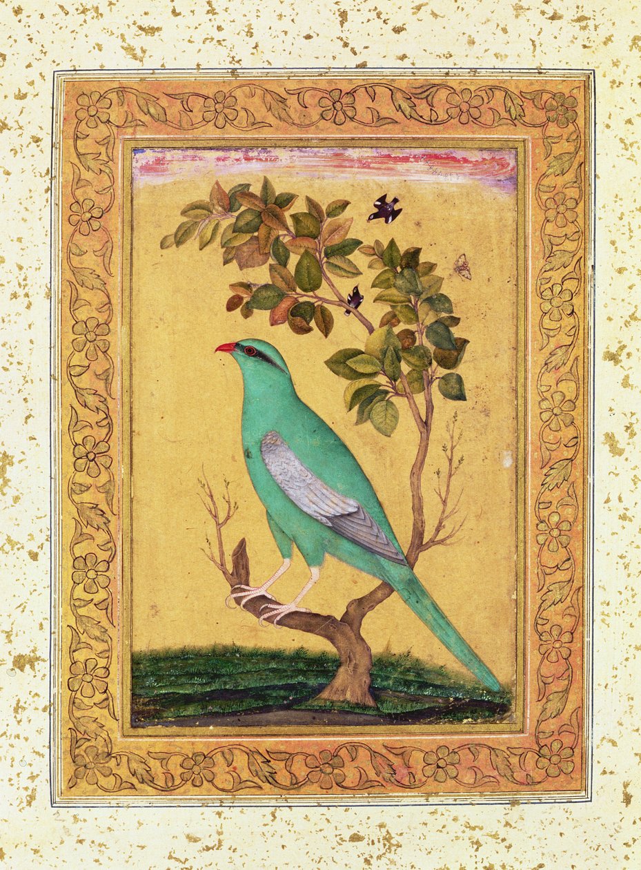 Oiseau vert, Mughal - Indian School