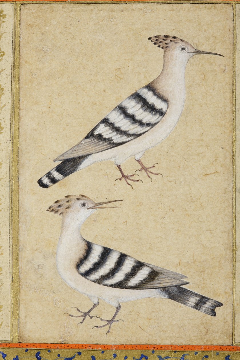 Huppes - Indian School
