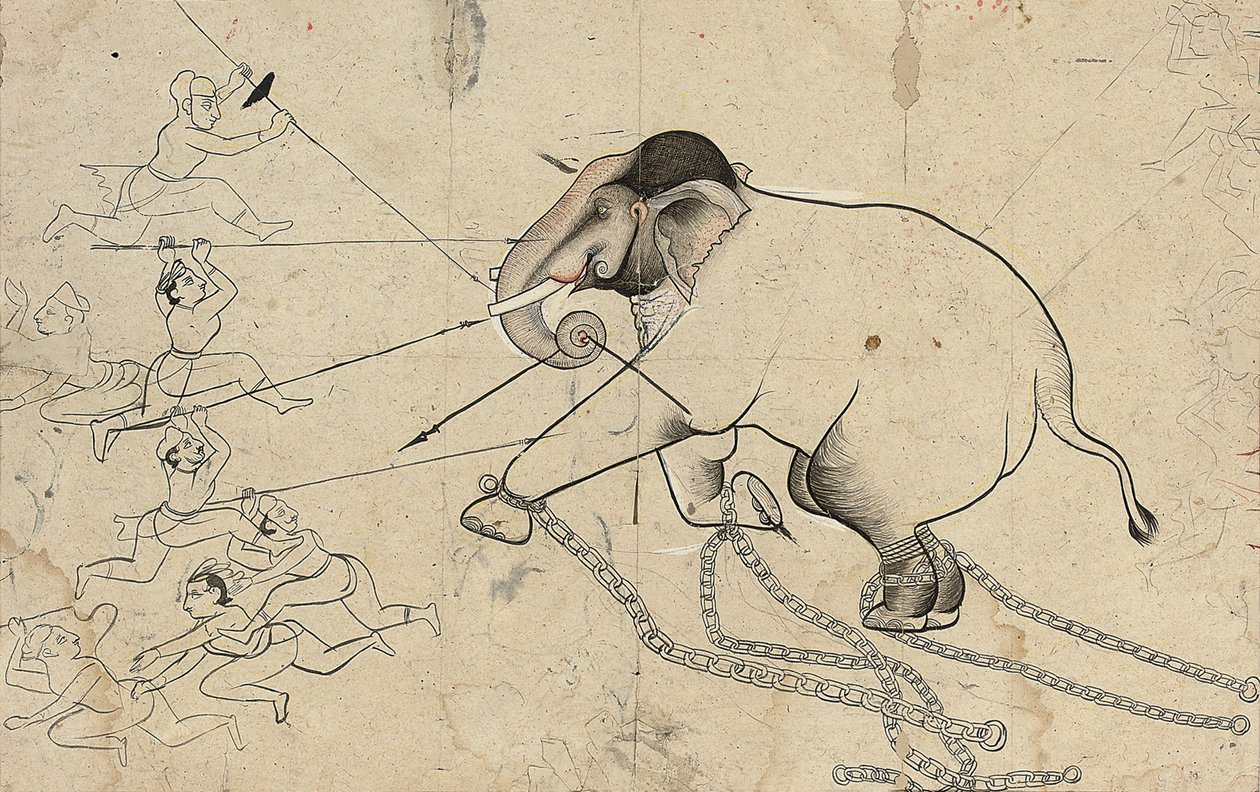 Isarda ou kotah dessin préparatoire du dressage d