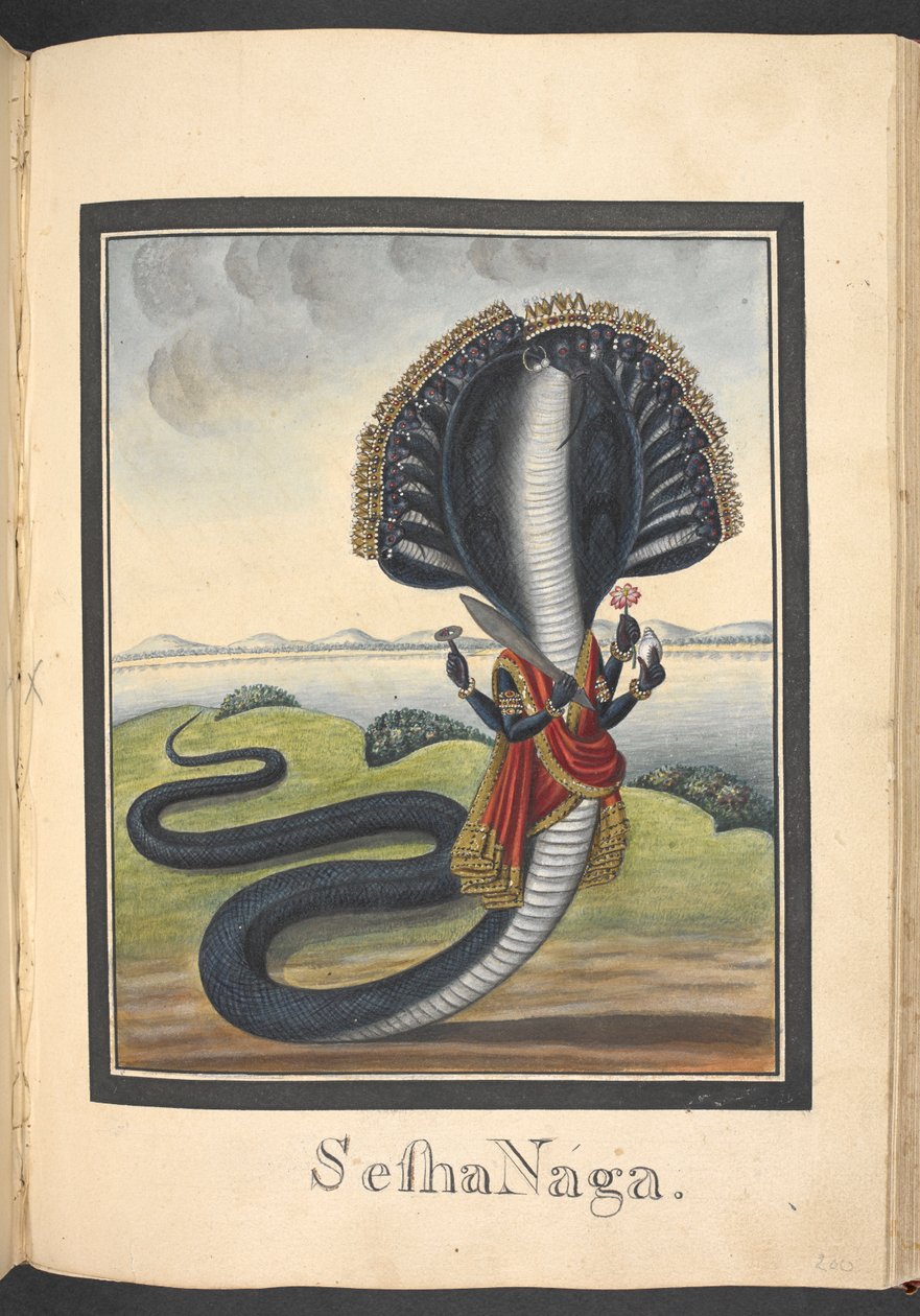 Sesha, le serpent sur lequel repose Vishnu - Indian School