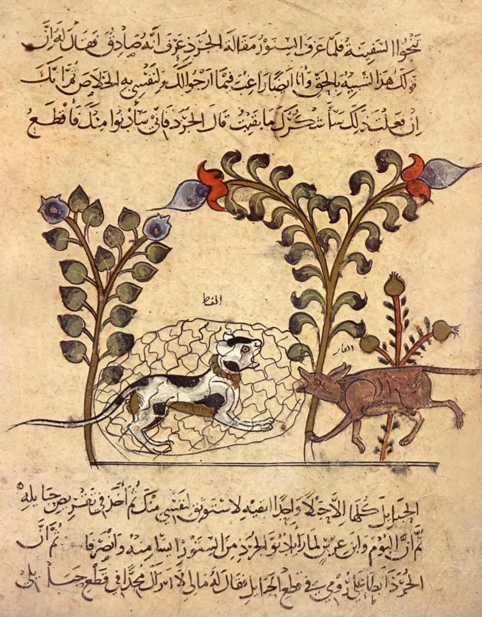 Le chat et le rat, miniature arabe de "Kalila va dimna" - Indian School