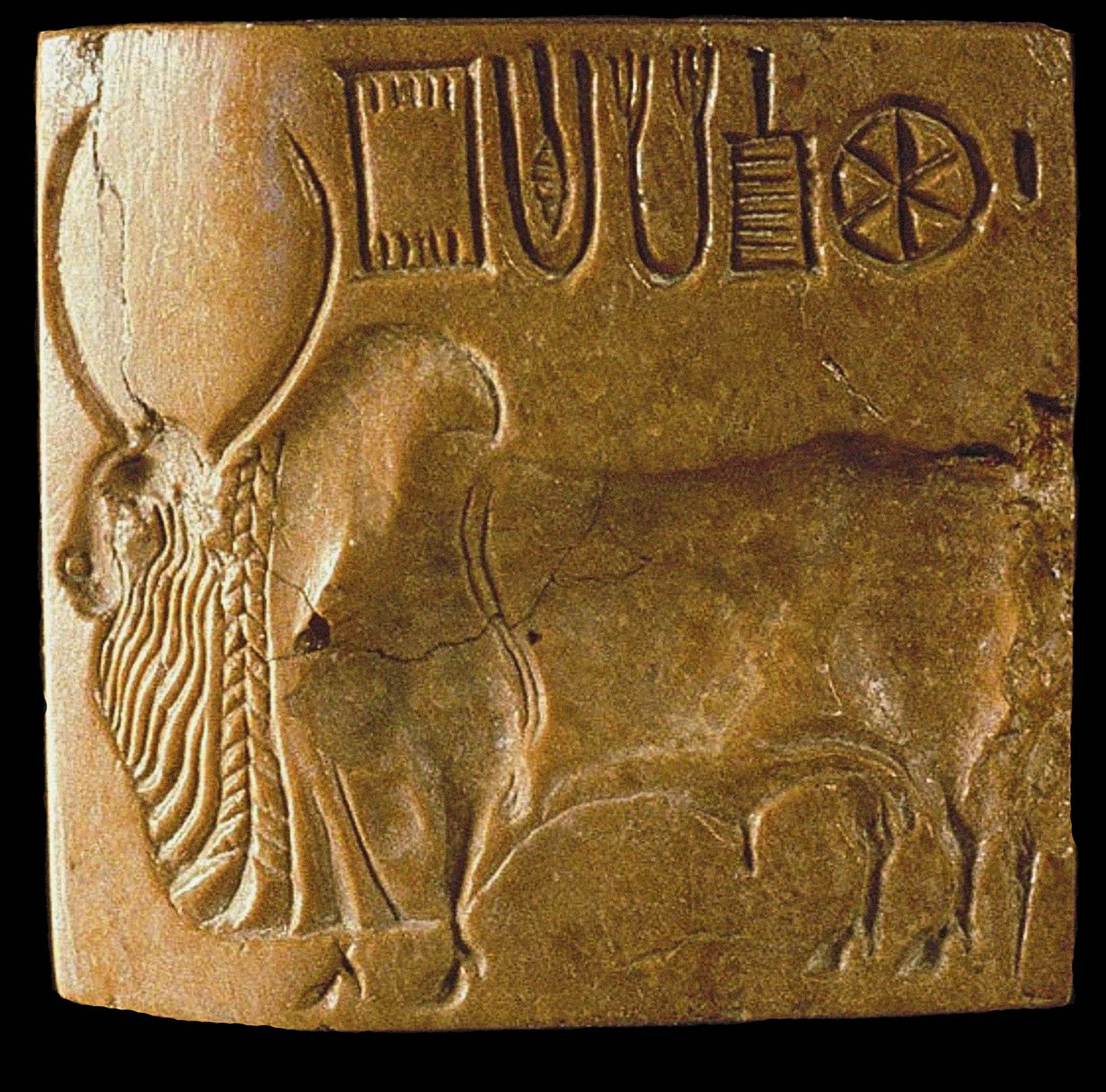 Sceau de taureau zébu avec script de l