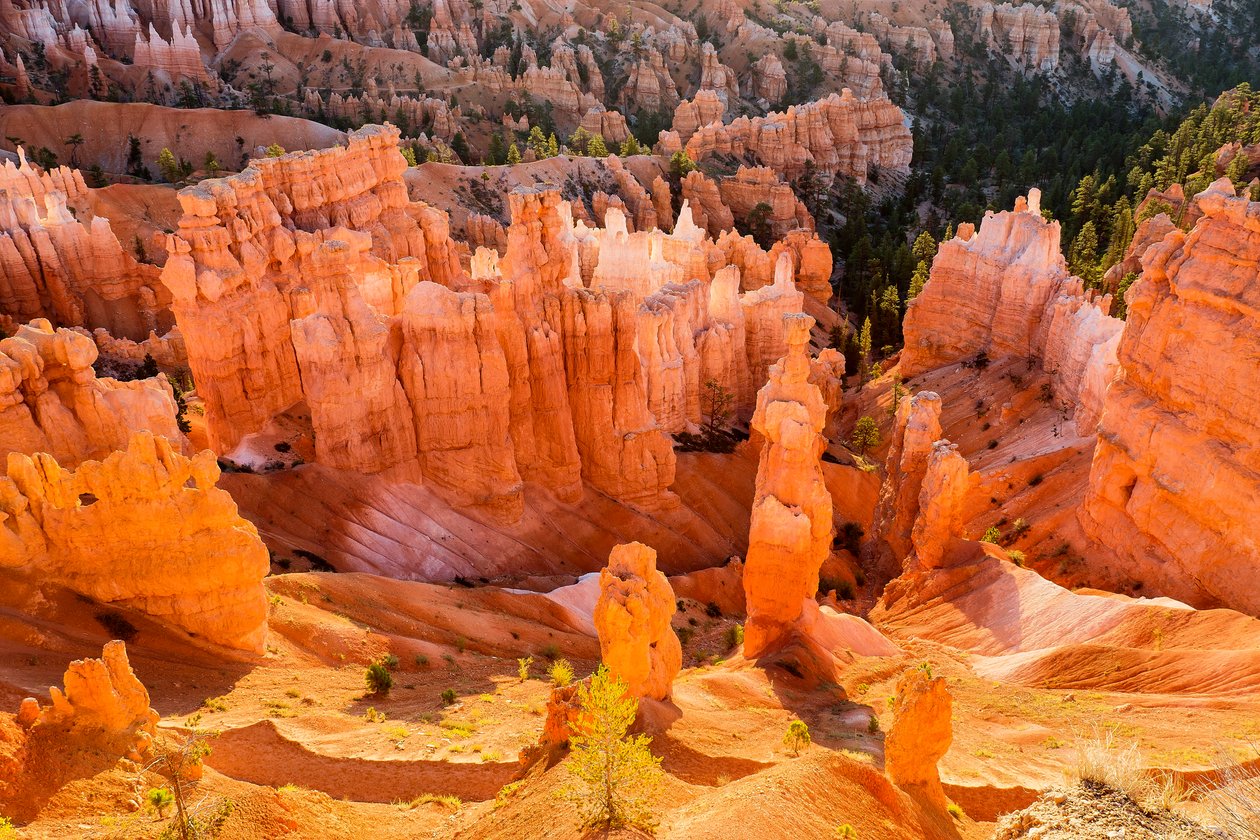 Lever de soleil sur les Hoodoos dans le parc national de Bryce Canyon - Ira Block