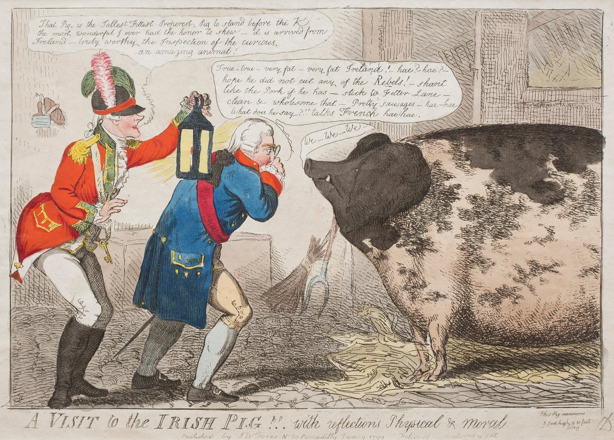 Une visite au cochon irlandais !! Avec réflexions physiques et morales - Isaac Cruikshank