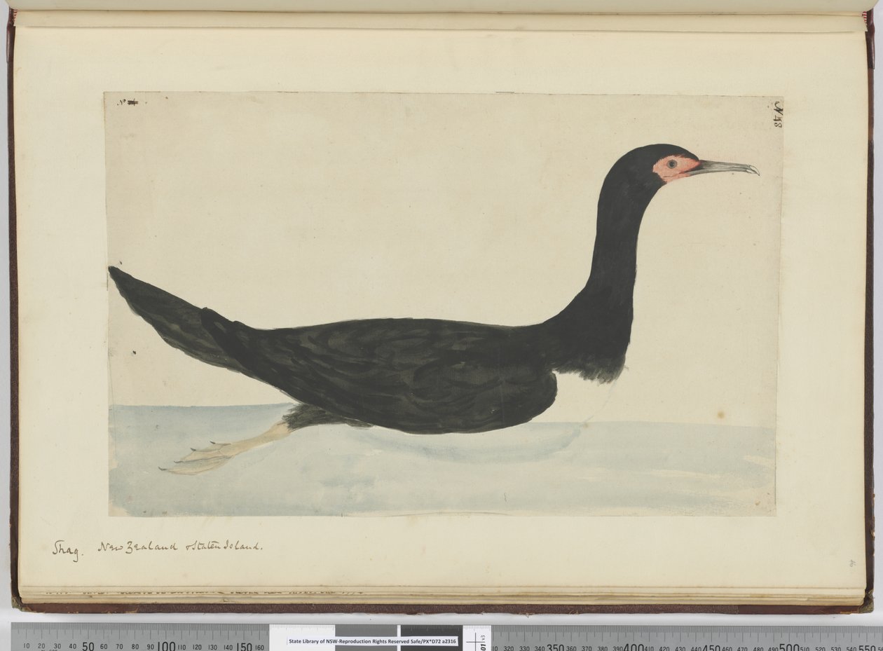 Cormoran. Nouvelle-Zélande et Île des États, 1772-75 - Isaac Smith