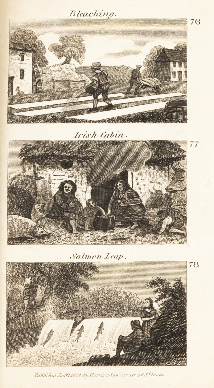Métiers en Irlande de la Régence : blanchiment, cabane irlandaise et saut de saumon - Isaac Taylor