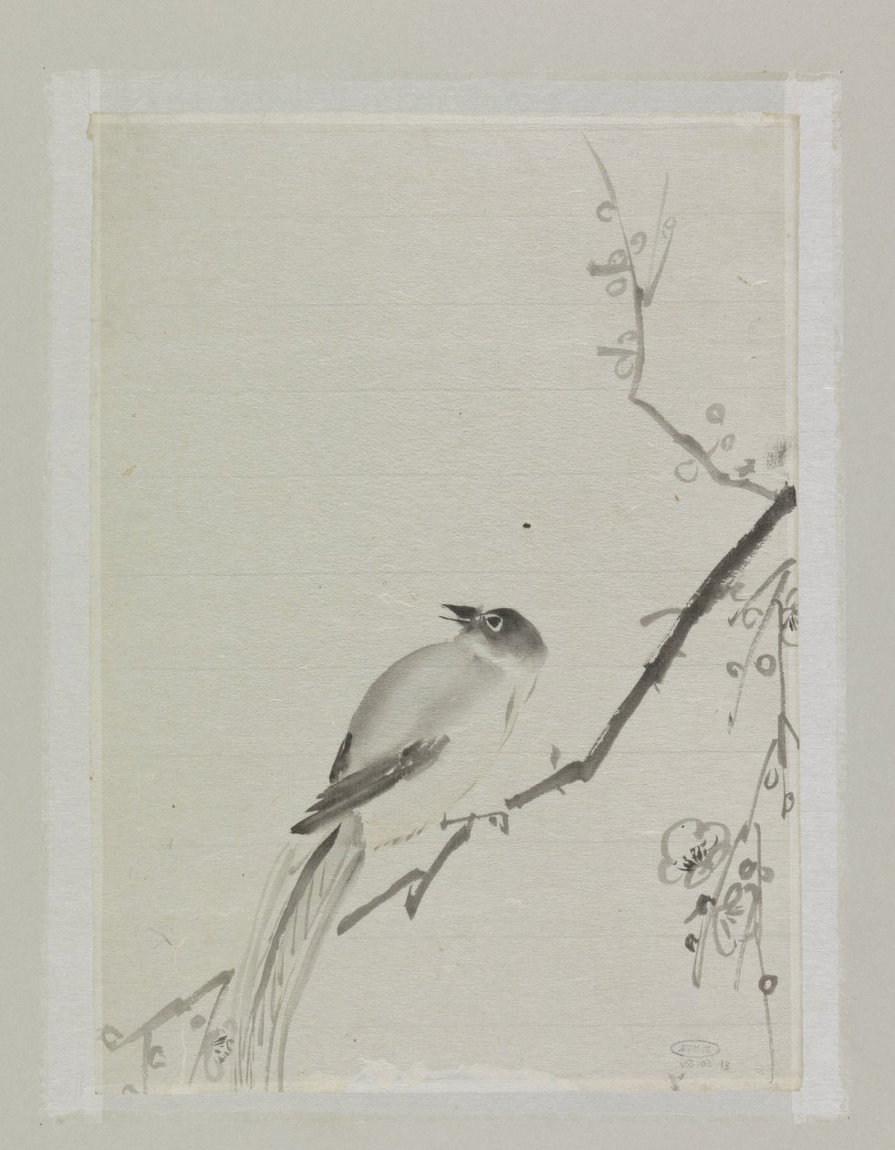 Oiseau sur une branche de cerisier - Ishikawa Kazan