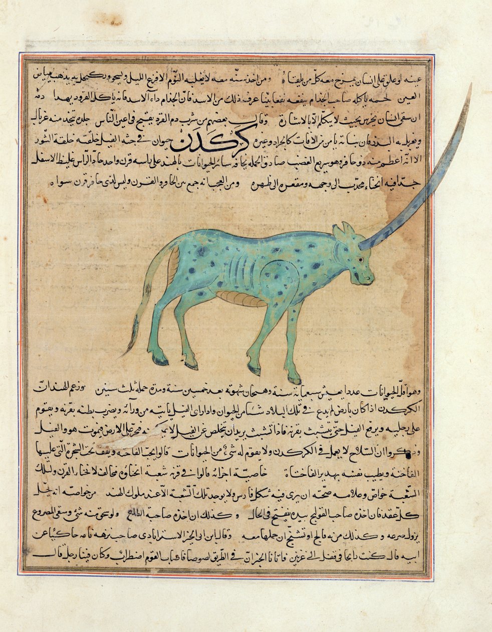 Ms E-7 fol.191b Rhinocéros, illustration de 
