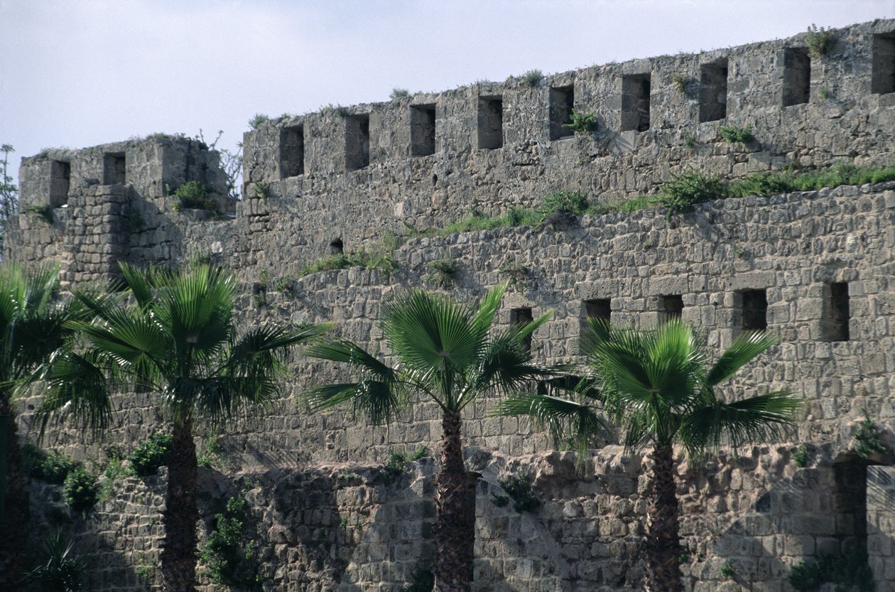 Remparts de la citadelle - Islamic School