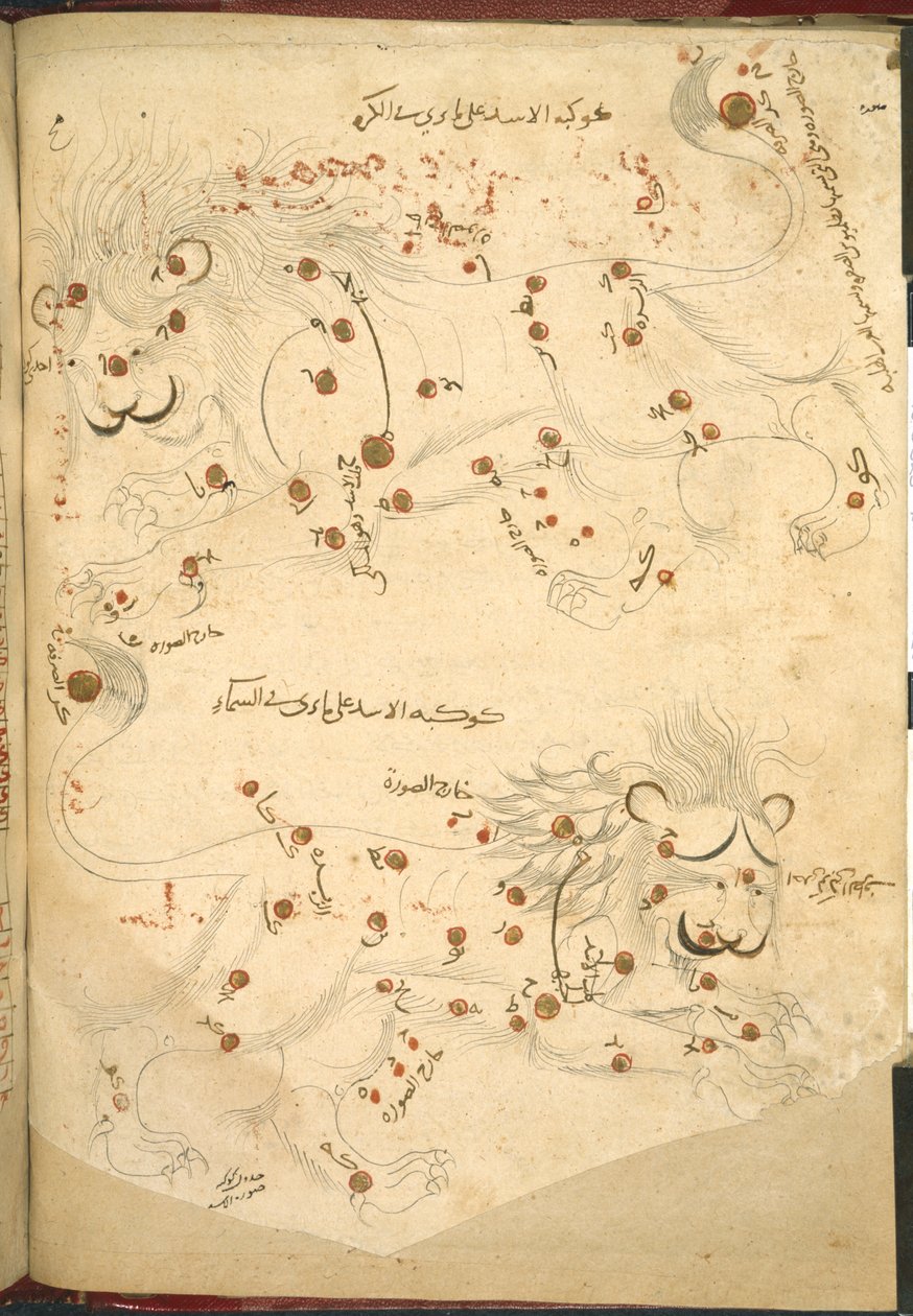 Or 5323 f.45v Deux lions, illustration de 