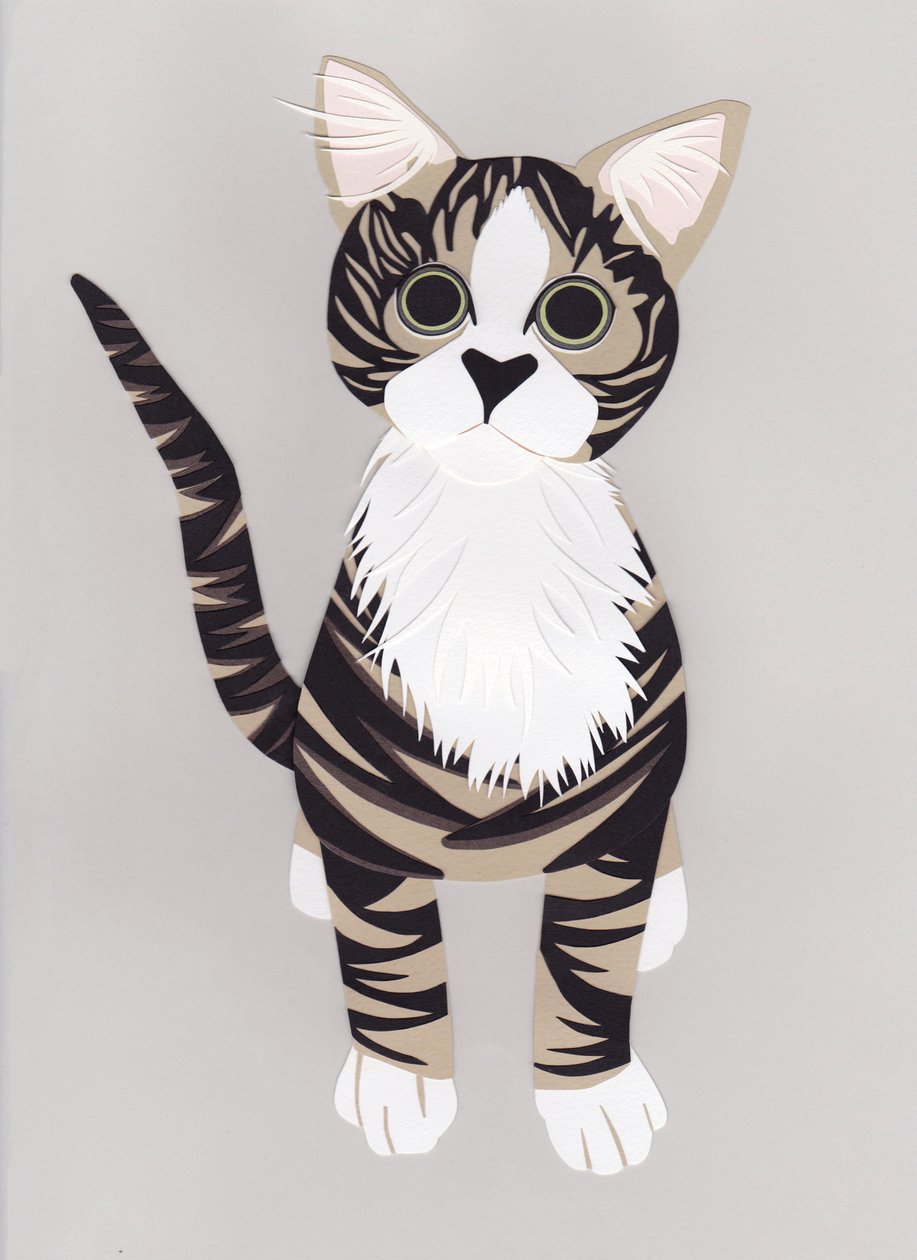 Pussycat, 2016 (papier) - Isobel Barber