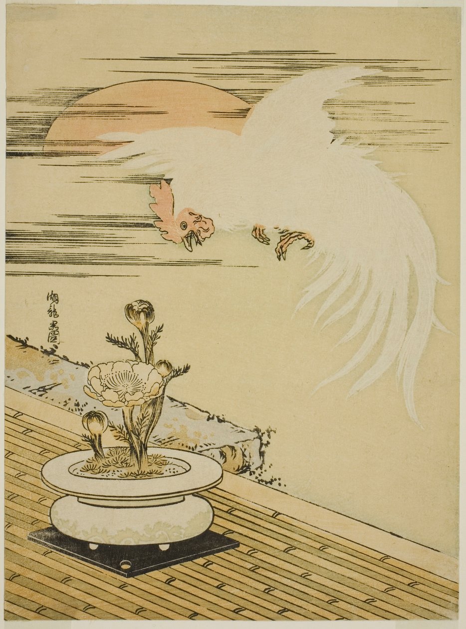 Coq volant au-dessus du pot d