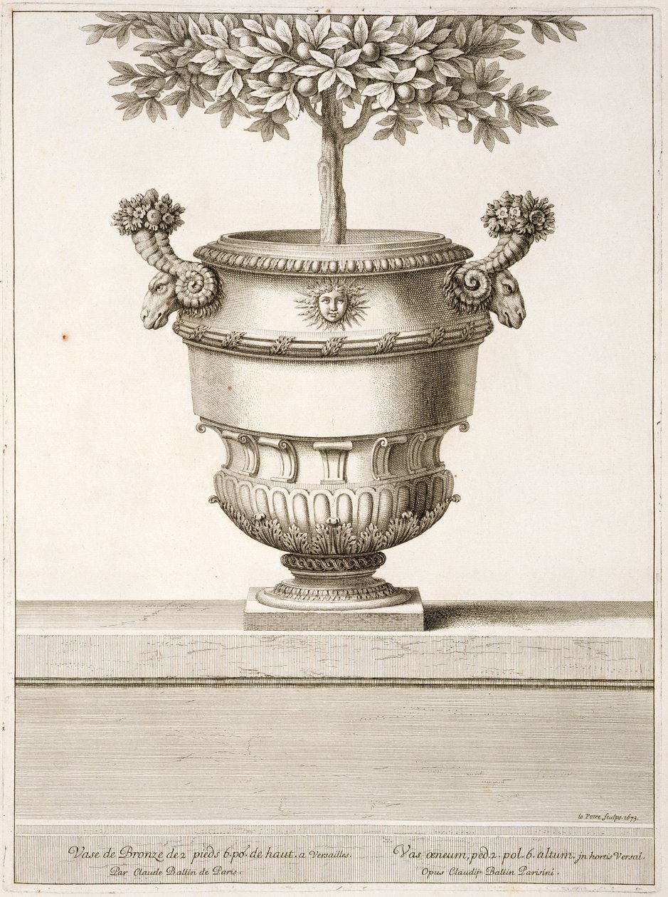 Urnes en bronze utilisées pour les agrumes, illustration de 