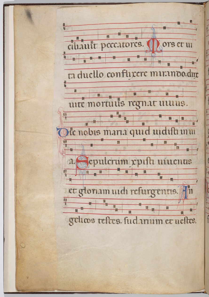 Feuille 6 d
