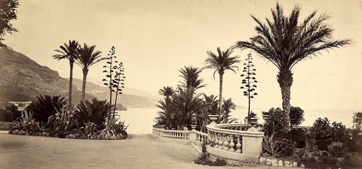 Le jardin du Casino de Montecarlo, dans la Principauté de Monaco - Italian Photographer