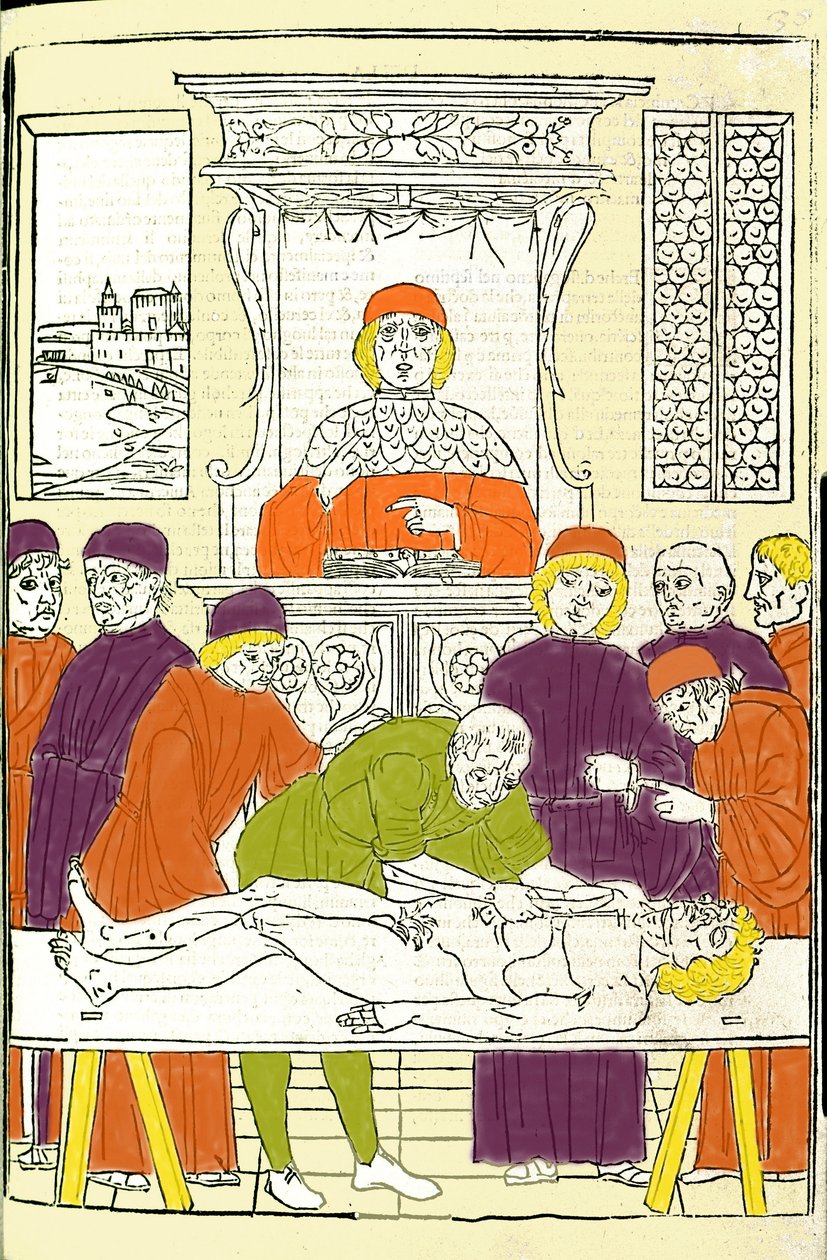 Dissection anatomique. Gravure d