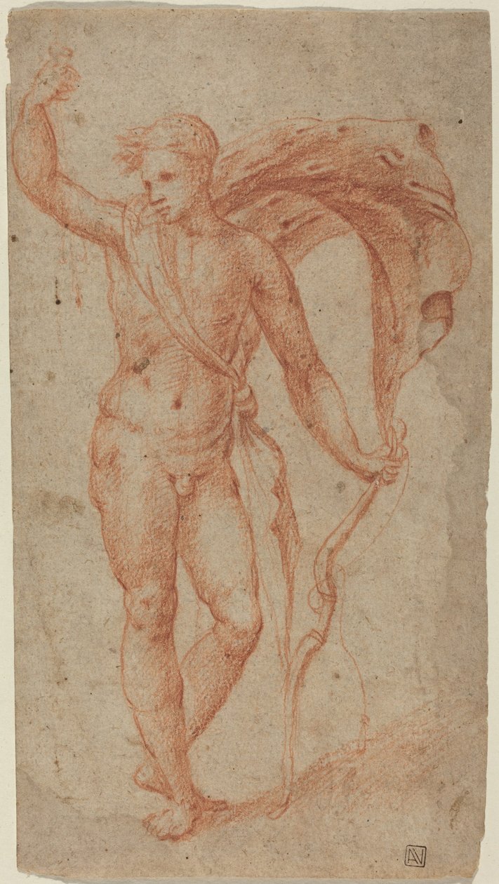 Apollon, vers 1510-1540 (craie rouge) - Italian School
