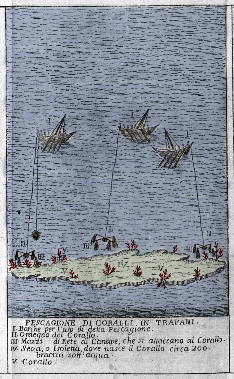 Pêche de corail dans le golfe de Trapani en Sicile, une représentation de petites îles sous-marines où se forment des barils de corail. Gravure de « Stato Presente della Sicilia » par Arcangelo Leanti, Palerme 1761 - Italian School