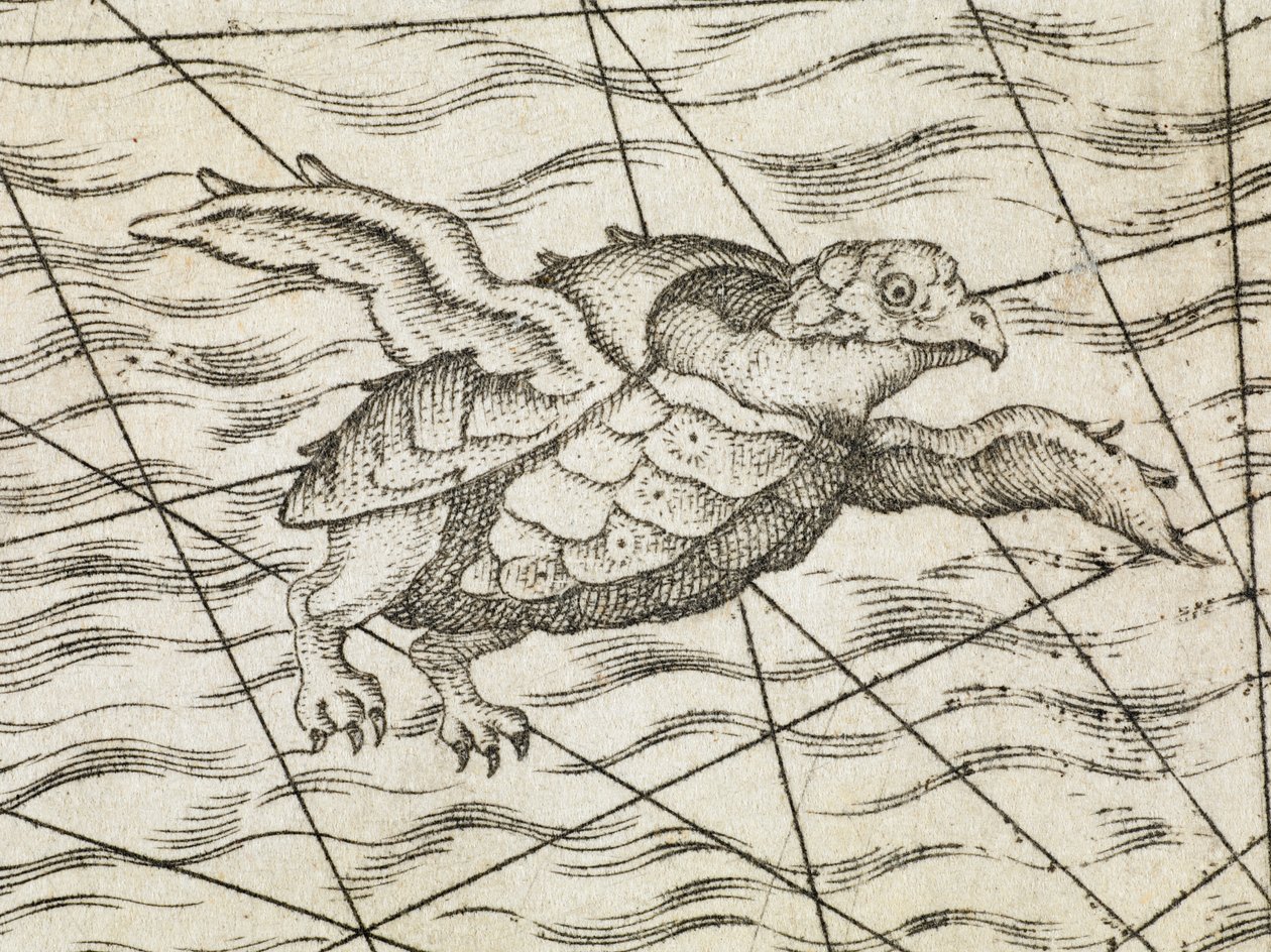 (détail) d