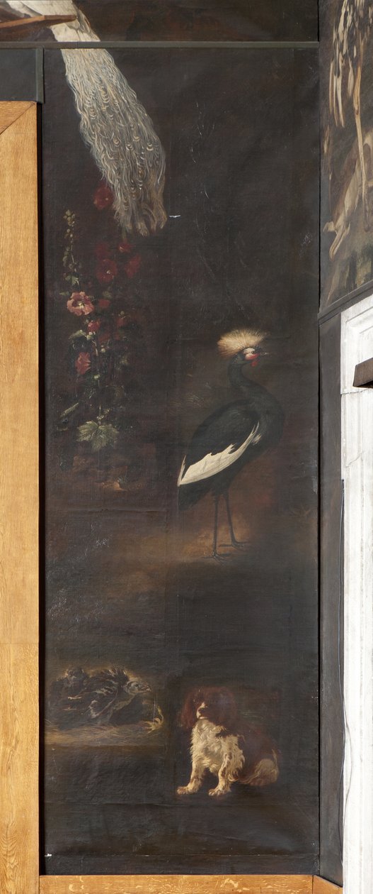 Chien et grue couronnée grise, Mythe d