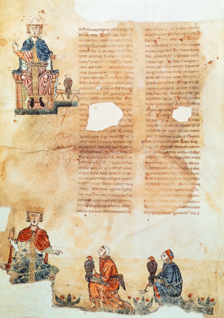 Empereur Frédéric II de Hohenstaufen, illustration de 