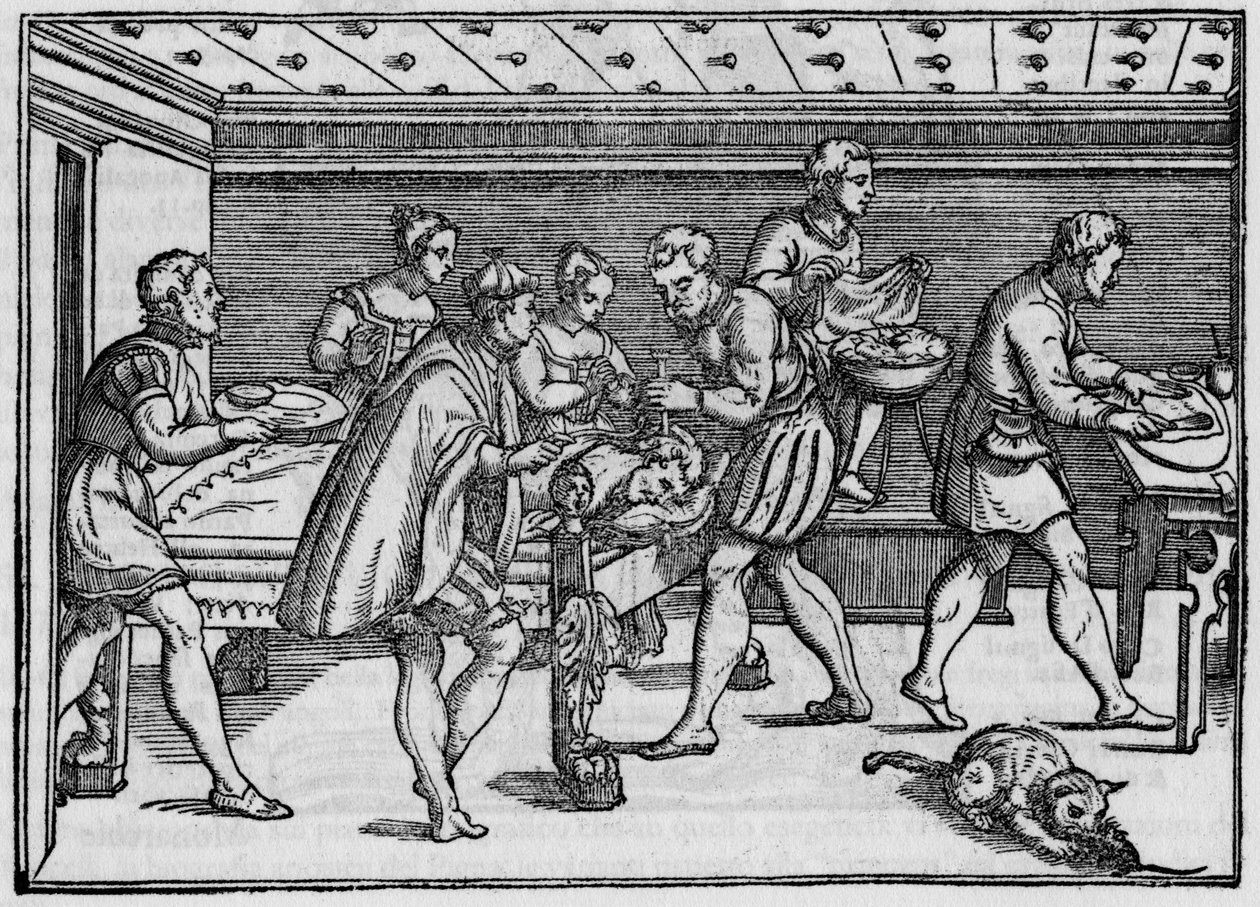 Gravure de 1574 dans « Della Cirurgia » par Giovanni Andrea dalla Croce, chirurgien italien - Italian School