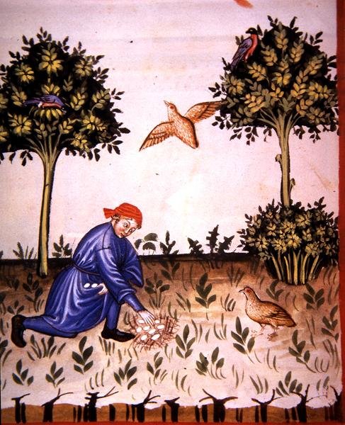 Fol.66v Collecte d