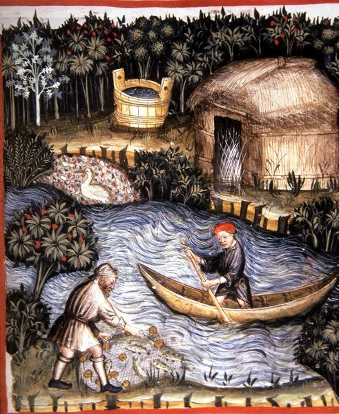 Fol.82r Poisson frais, illustration de 