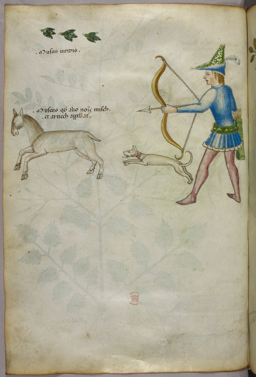 Illustration d