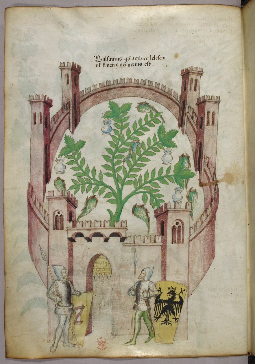 Illustration du jardin de baume du Caire (Fustat), avec sept bassins d