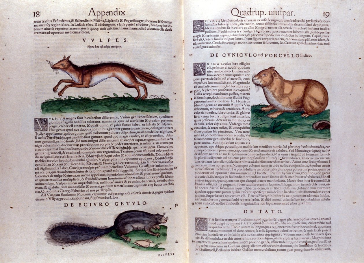 Illustrations de 