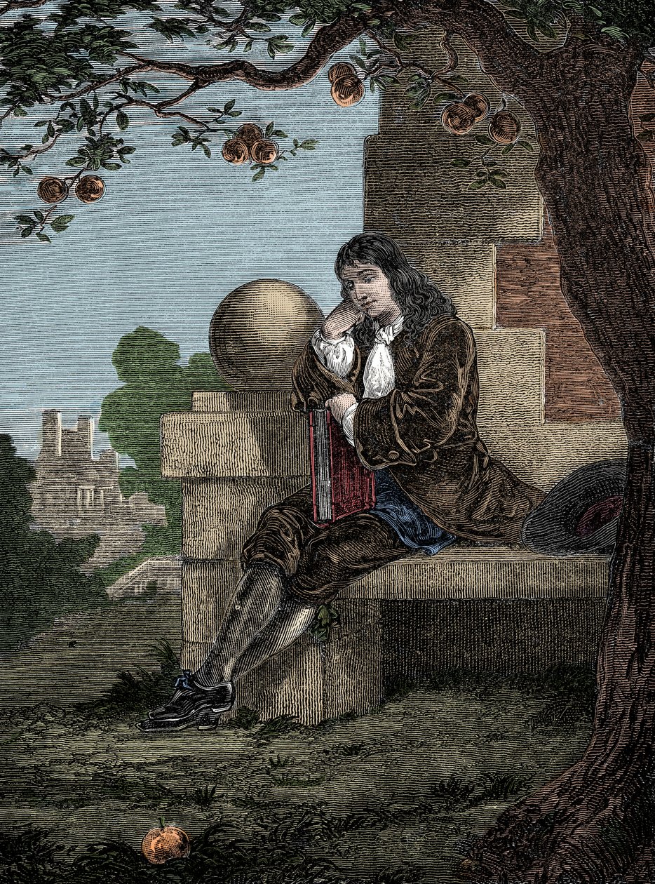 Isaac Newton observant une pomme tomber au sol alors qu