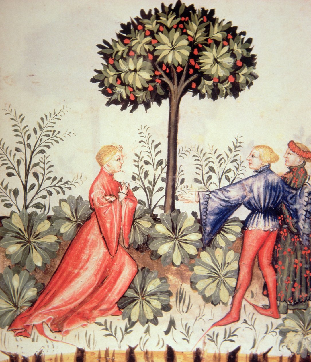 Nova 2644 fol.24r Récolte de moutarde, de Tacuinum Sanitatis - Italian School