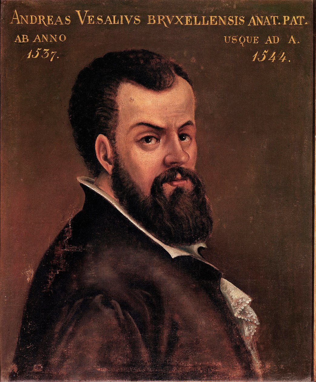 Portrait d