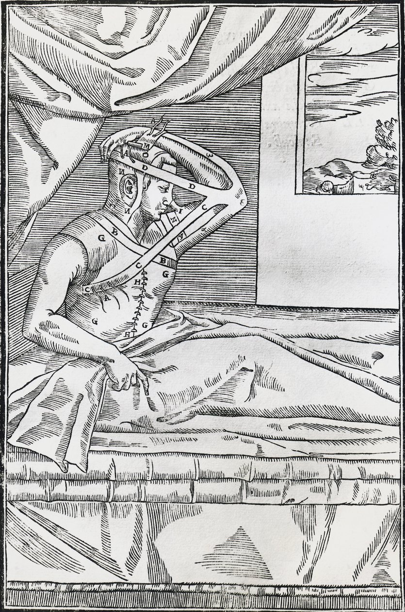 Chirurgie de rhinoplastie - Italian School