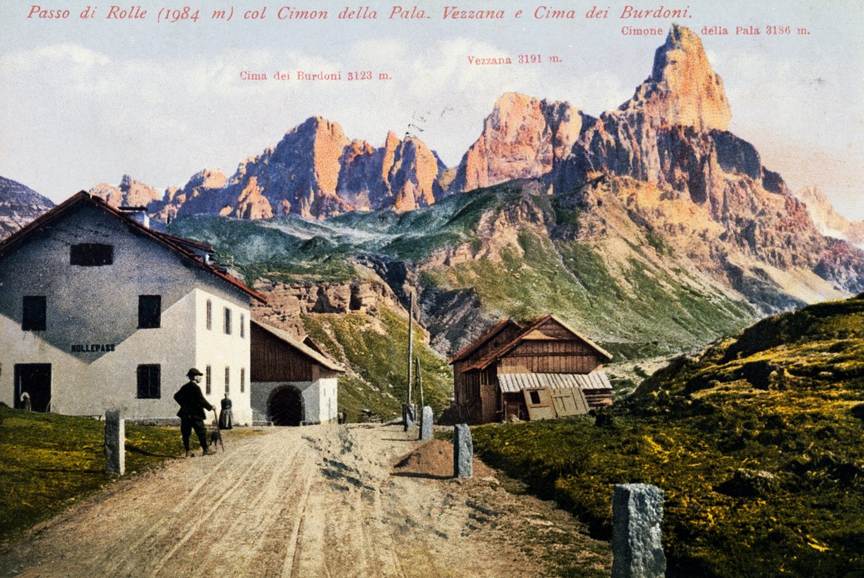Col de Rolle, carte postale, Trentin-Haut-Adige, Italie, XXe siècle - Italian School
