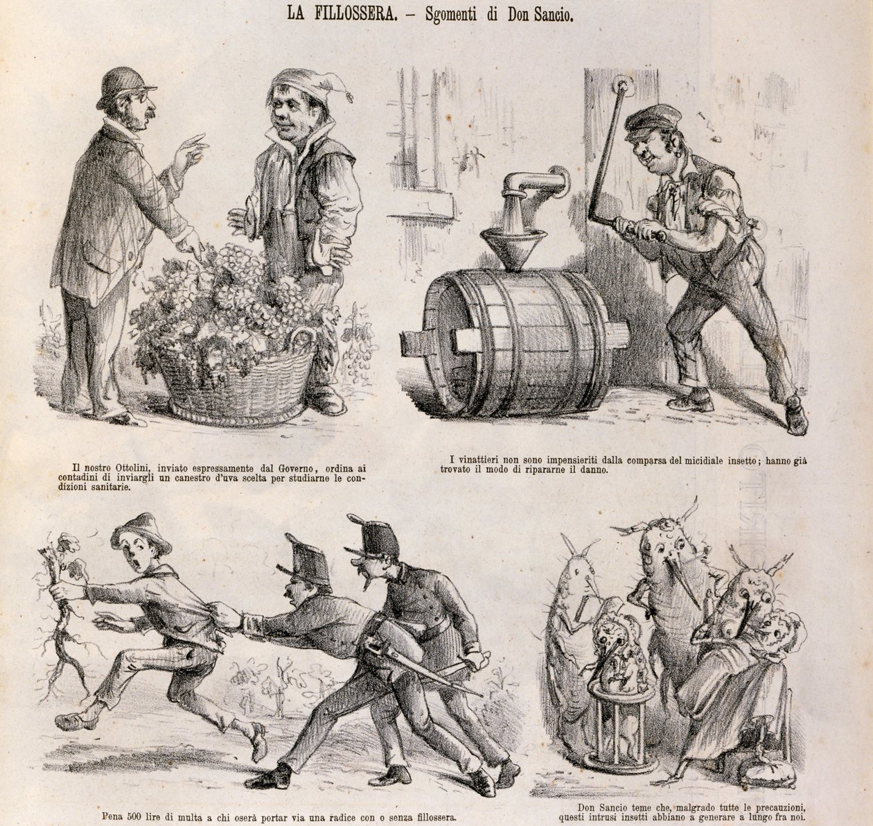 Caricature satirique dédiée à la crise viticole causée par le phylloxéra, illustration du journal satirique Spirito Folletto, 18 septembre - Italian School
