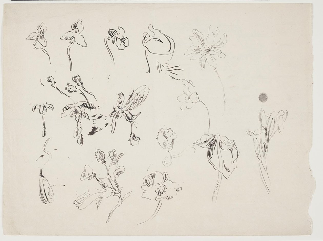 Esquisses de fleurs - J.A. Jerichau